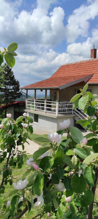 Vikend House Villa Ljig Exterior photo